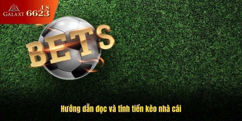 Hướng dẫn đọc và tính tiền kèo nhà cái