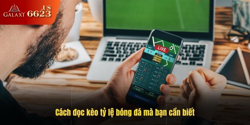 Cách đọc kèo tỷ lệ bóng đá mà bạn cần biết