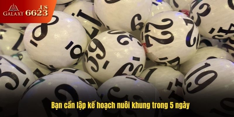 Bạn cần lập kế hoạch nuôi khung trong 5 ngày