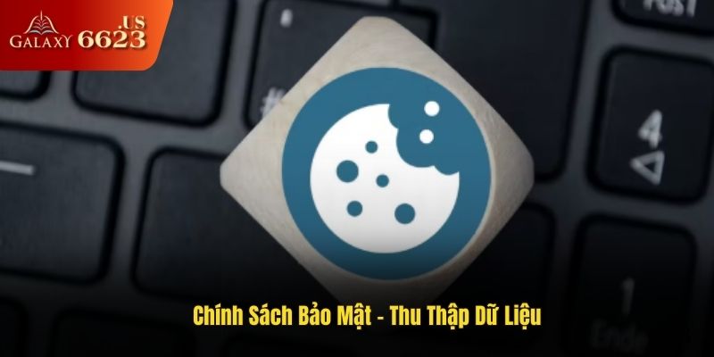 Hoạt động thu thập dữ liệu